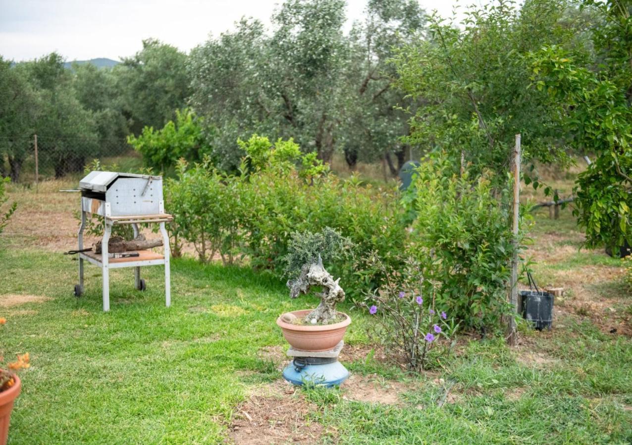 Agrikia Tis Vasilikis Apartment Ormilia Bagian luar foto