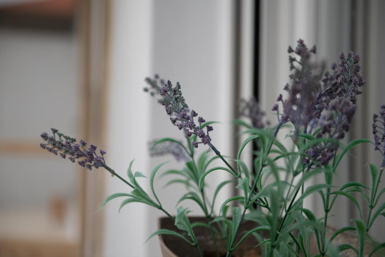 Agrikia Tis Vasilikis Apartment Ormilia Bagian luar foto