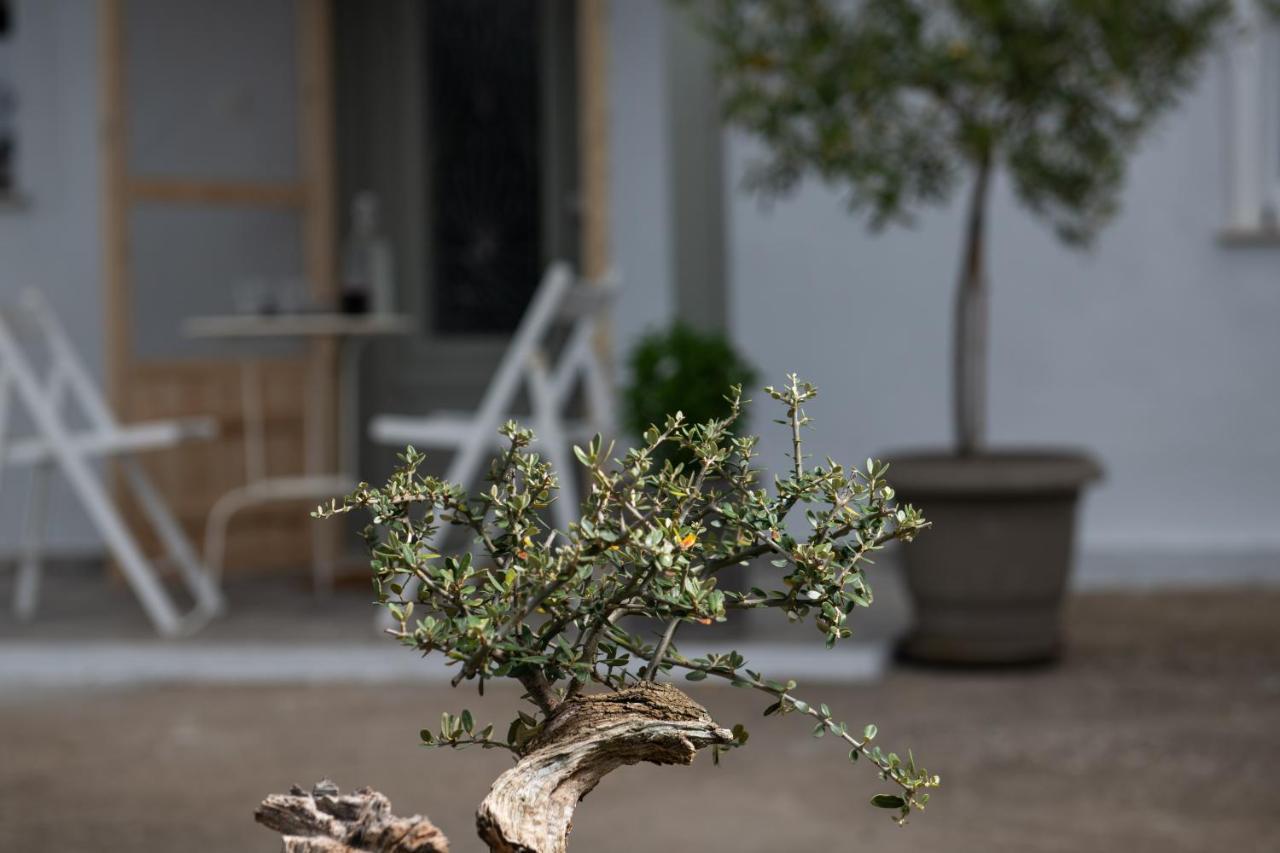 Agrikia Tis Vasilikis Apartment Ormilia Bagian luar foto