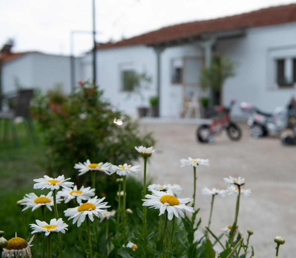 Agrikia Tis Vasilikis Apartment Ormilia Bagian luar foto