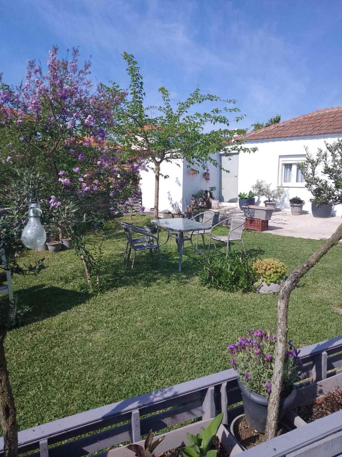 Agrikia Tis Vasilikis Apartment Ormilia Bagian luar foto